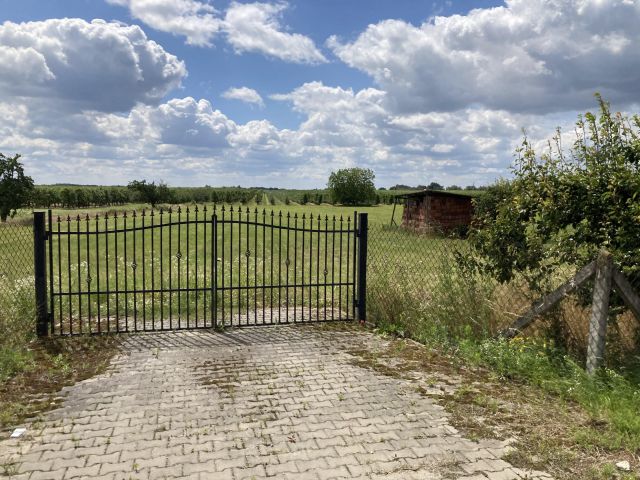 Działka rolno-budowlana Pabierowice. Zdjęcie 2