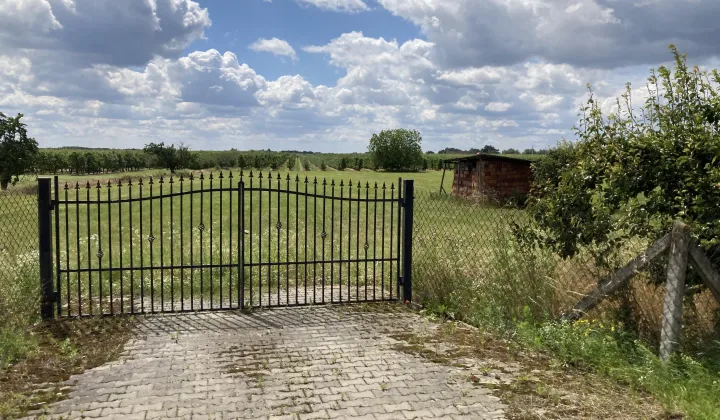 Działka rolno-budowlana Pabierowice