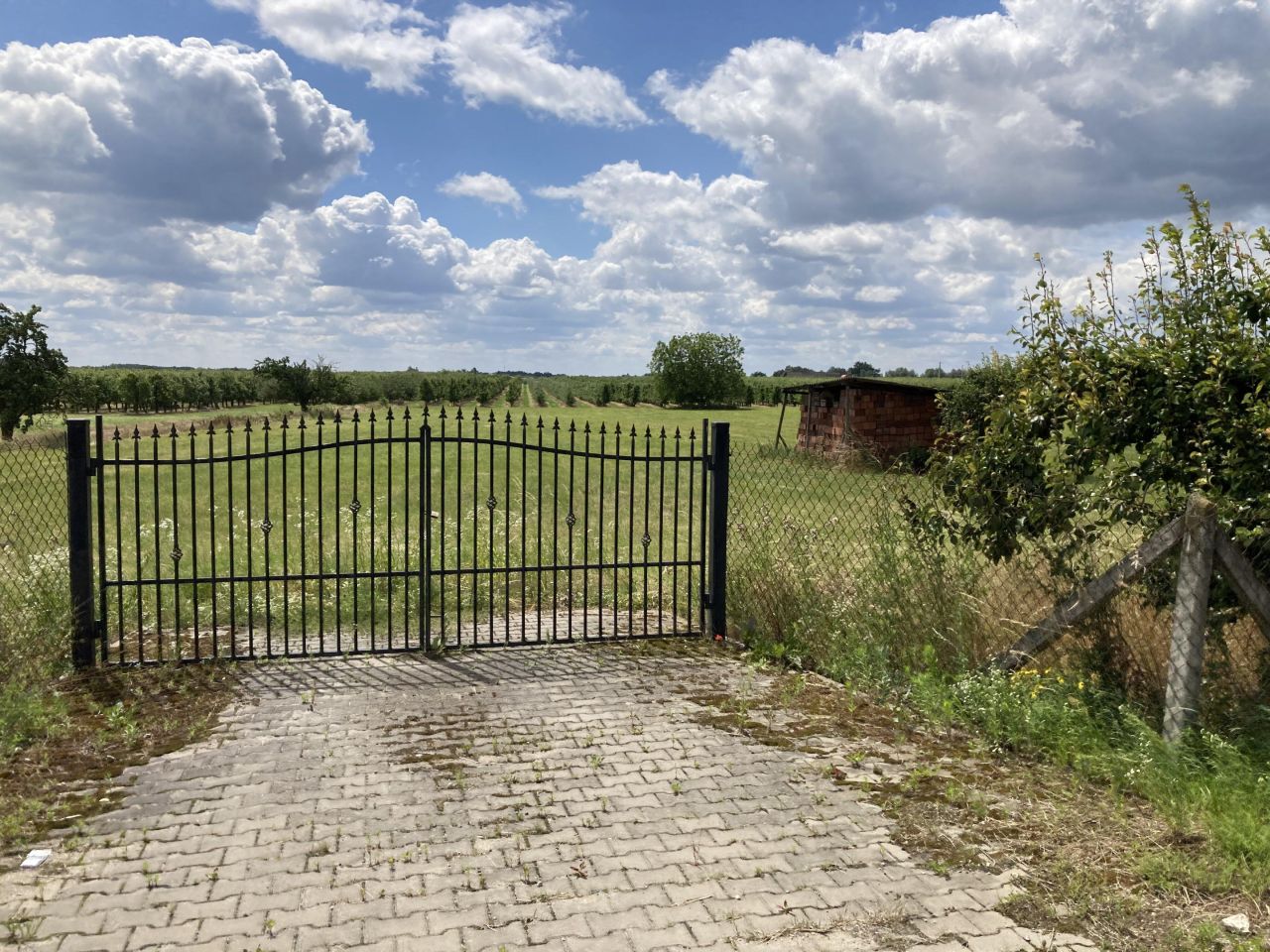 Działka rolno-budowlana Pabierowice. Zdjęcie 2