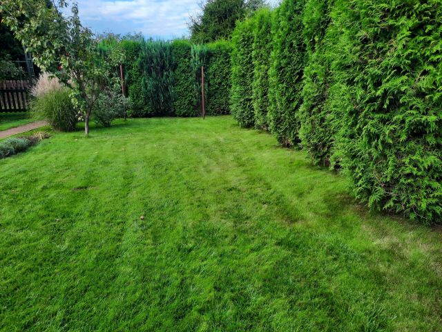 Działka rod Toruń, ul. Stanisława Przybyszewskiego. Zdjęcie 1