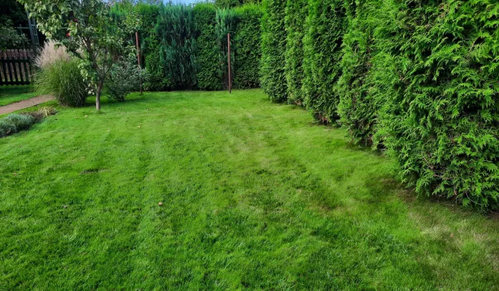 Działka rod Toruń, ul. Stanisława Przybyszewskiego