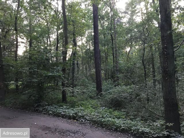 Działka Sękocin-Las, ul. Maślaka. Zdjęcie 1