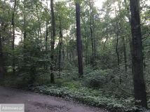 Działka Sękocin-Las, ul. Maślaka