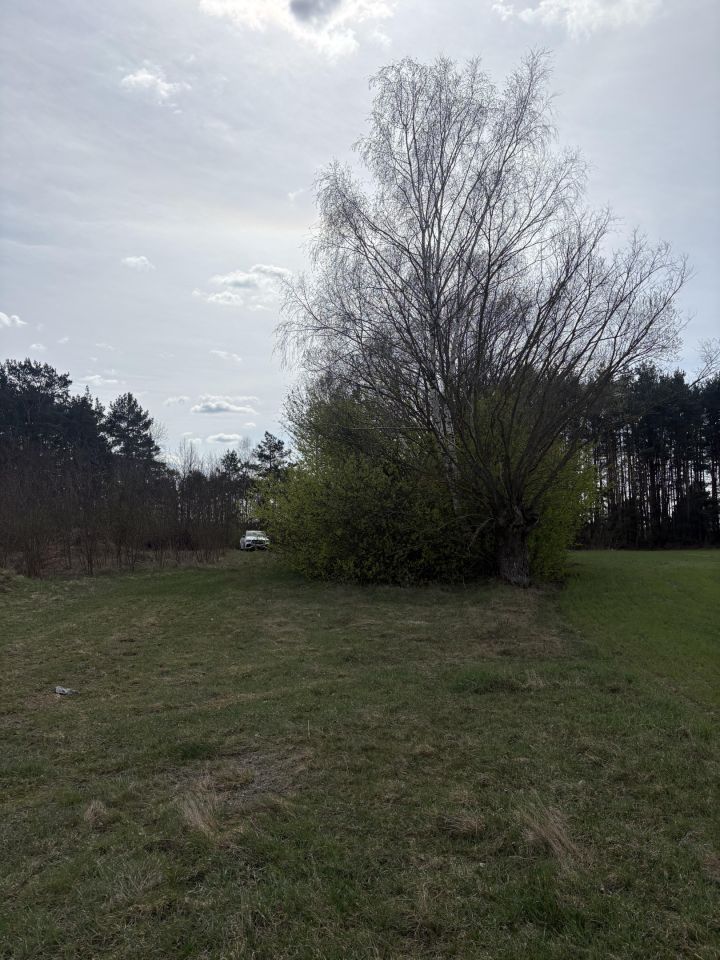 Działka rolno-budowlana Nowe Ręczaje. Zdjęcie 2