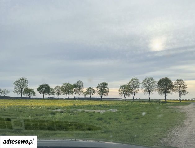 Działka budowlana Cybinka, ul. Białkowska. Zdjęcie 1