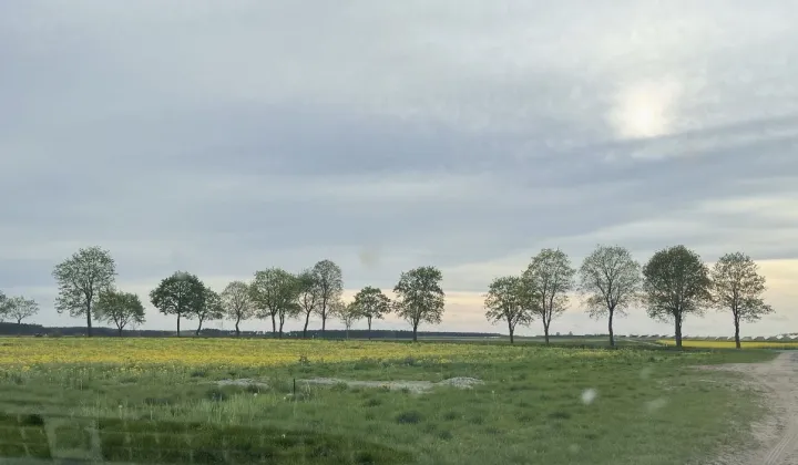 Działka budowlana Cybinka, ul. Białkowska