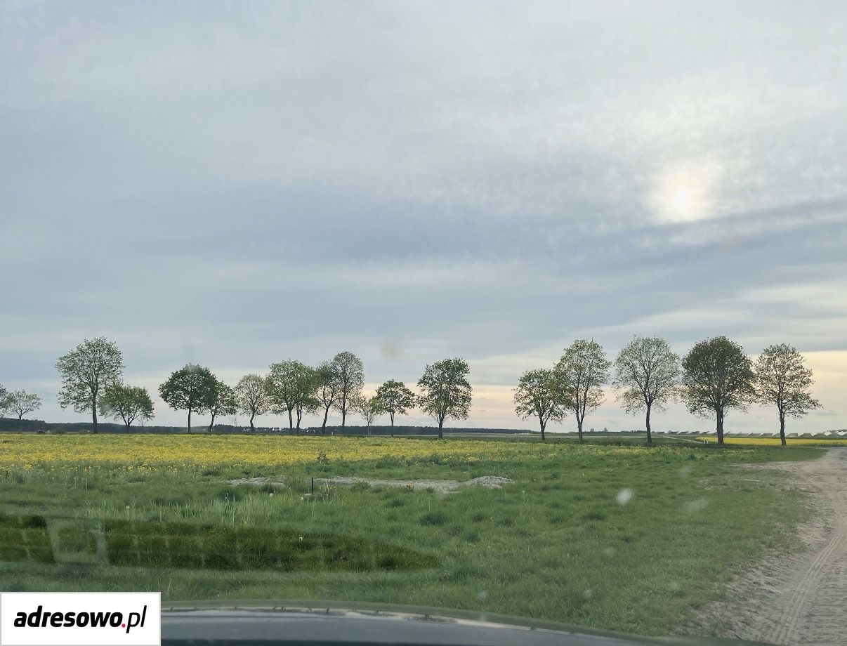 Działka budowlana Cybinka, ul. Białkowska. Zdjęcie 1