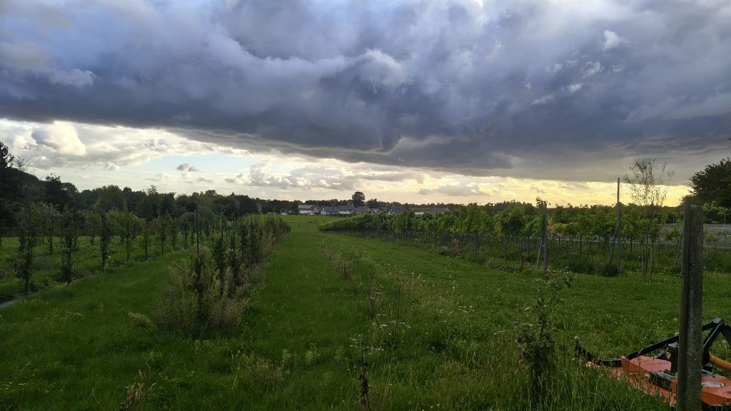 Działka rolno-budowlana Boleścin. Zdjęcie 7