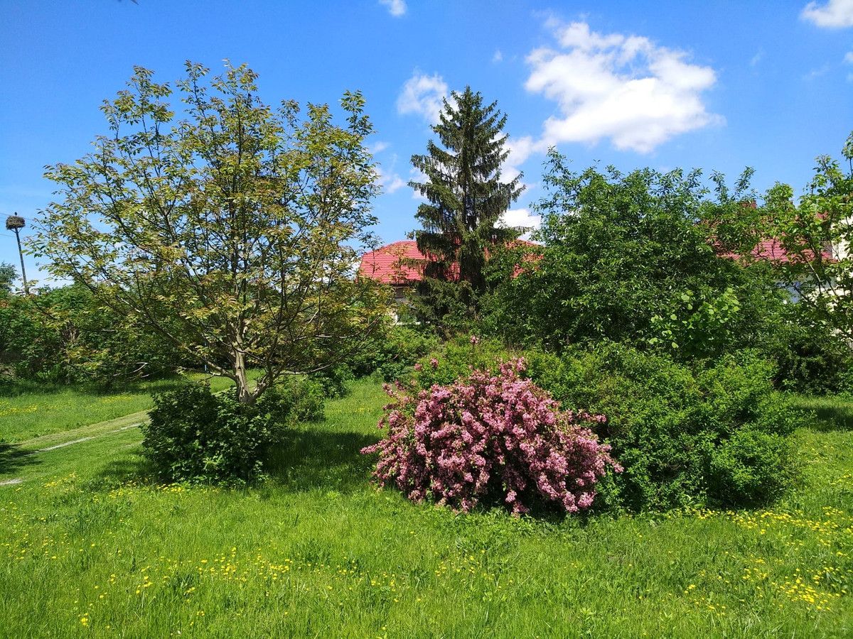 dom wolnostojący, 3 pokoje Chmielów, ul. Słoneczna. Zdjęcie 6