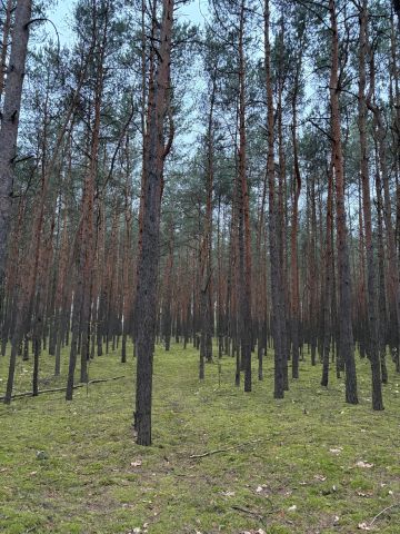 bliźniak, 6 pokoi Sobienie-Jeziory, ul. Lipowa. Zdjęcie 37