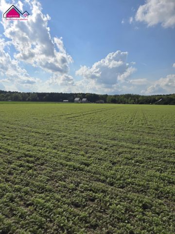 Działka rekreacyjna Skrzynka. Zdjęcie 4