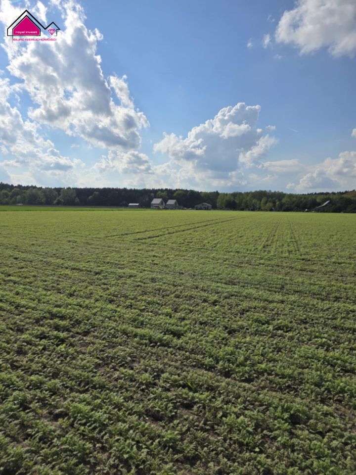 Działka rekreacyjna Skrzynka. Zdjęcie 4