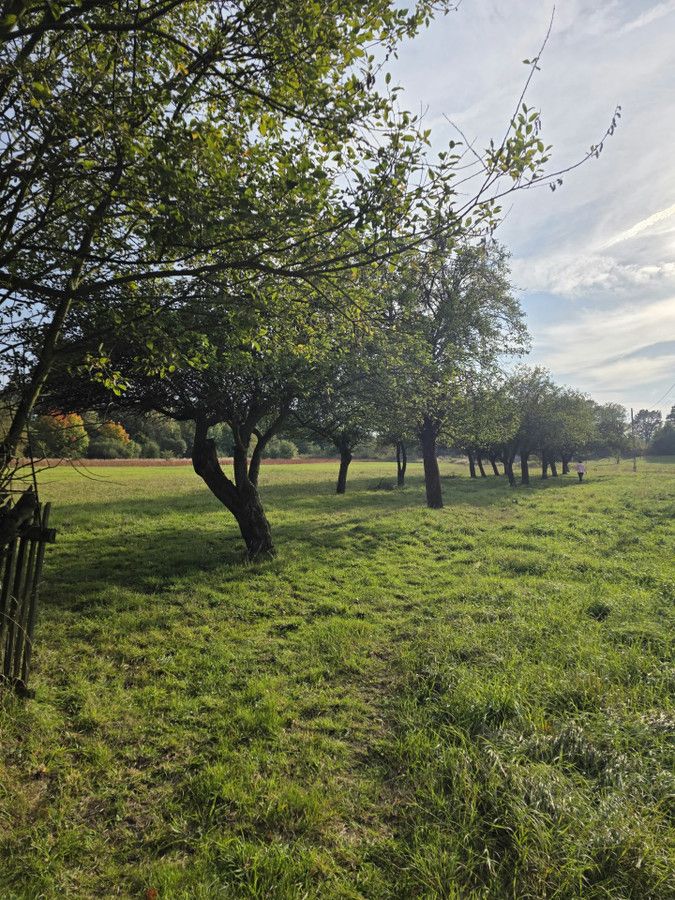 dom, 6 pokoi Okleśna, ul. Mokra. Zdjęcie 5