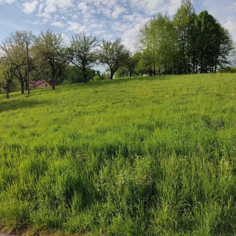Działka budowlana Pietrusza Wola. Zdjęcie 1