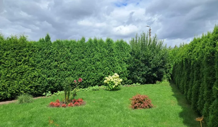 Działka Chełmża, ul. Owocowa