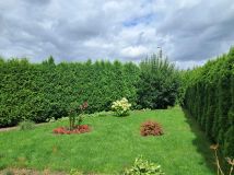 Działka Chełmża, ul. Owocowa