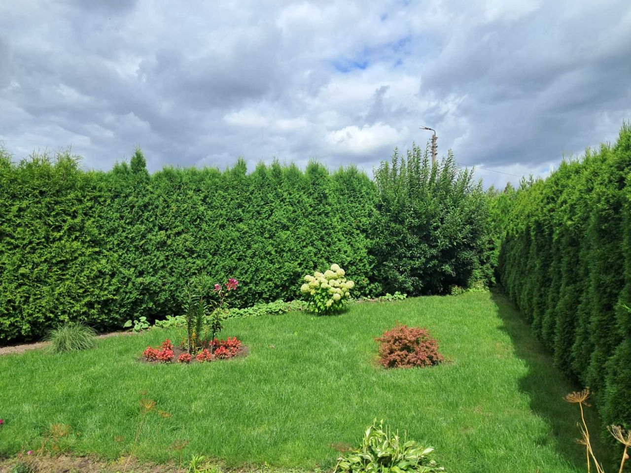 Działka Chełmża, ul. Owocowa