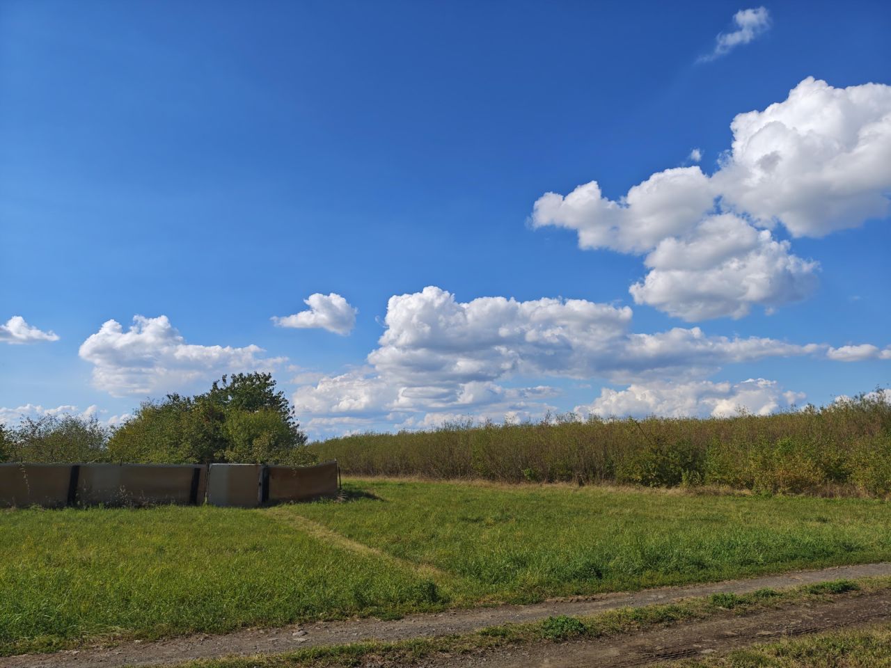 gospodarstwo, 3 pokoje Bucze. Zdjęcie 11