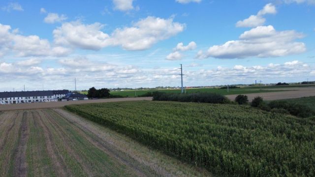 Działka inwestycyjna Mędłów. Zdjęcie 2