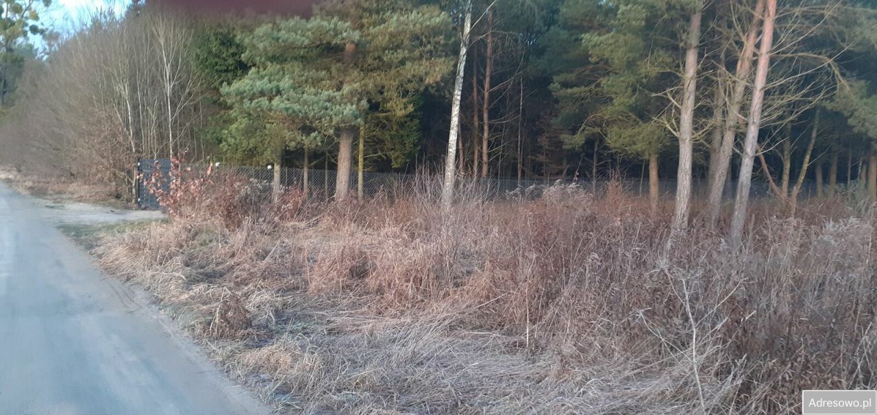 Działka budowlana Łukta. Zdjęcie 7