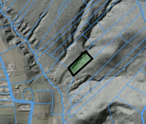 Działka leśna Karwodrza. Zdjęcie 2