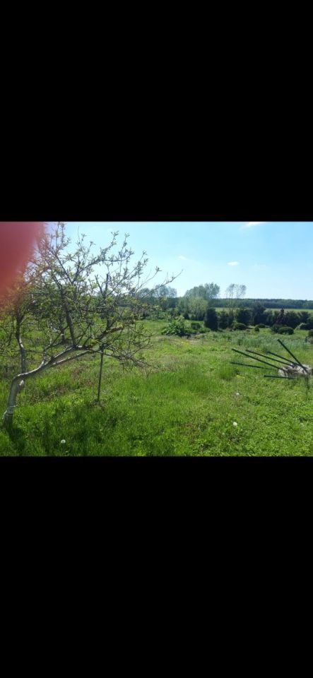 Działka rolno-budowlana Staw. Zdjęcie 4