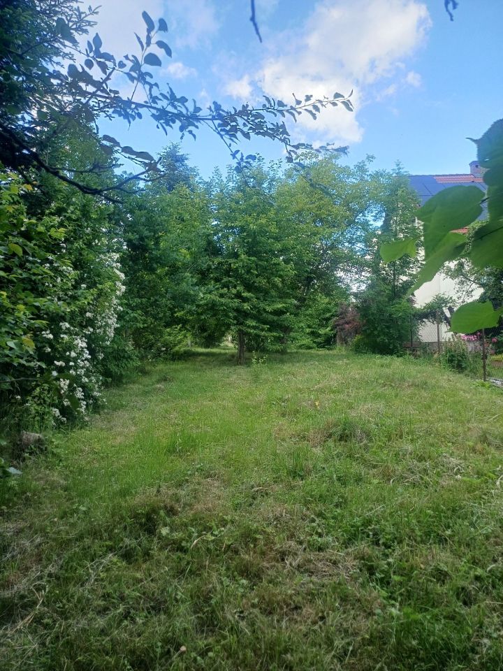 Działka Sienna. Zdjęcie 2