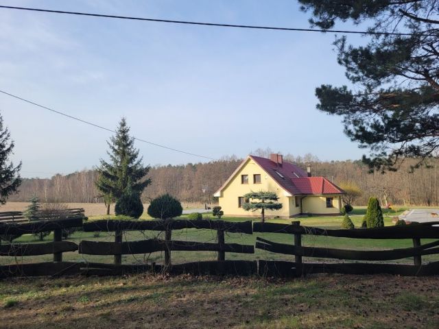 dom wolnostojący Turze. Zdjęcie 1