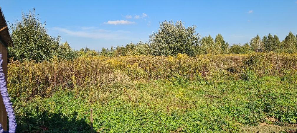 Działka budowlana Gołaszyn. Zdjęcie 2