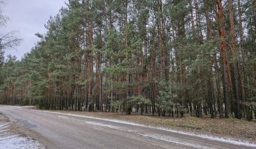 Działka leśna Wysychy, ul. Leśna