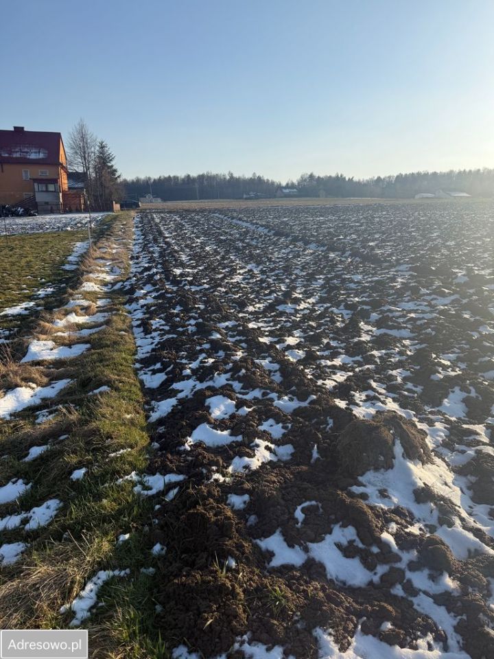 Działka rolno-budowlana Gosprzydowa. Zdjęcie 3