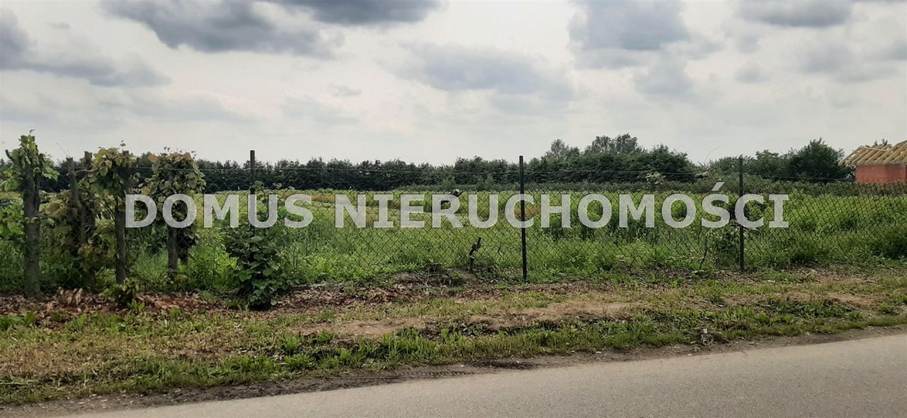 Działka budowlana Brzeziny, ul. Leśna. Zdjęcie 4