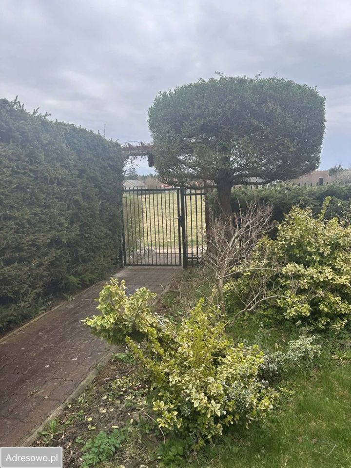 dom wolnostojący, 3 pokoje Winiec. Zdjęcie 4