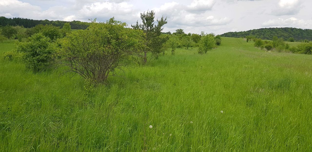 Działka rolno-budowlana Rodaki. Zdjęcie 2