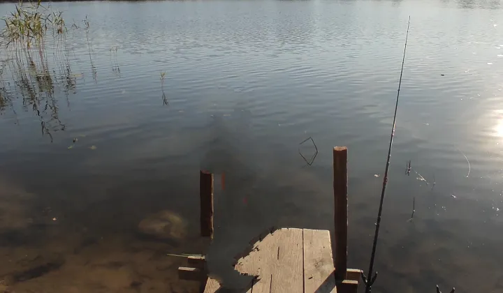 Działka rolna Rostki Skomackie