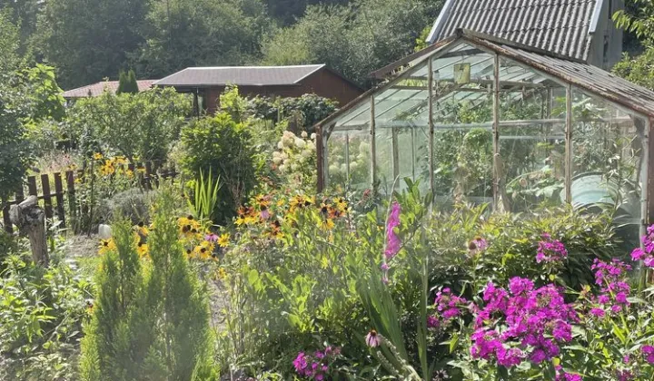 Działka rod Złotów