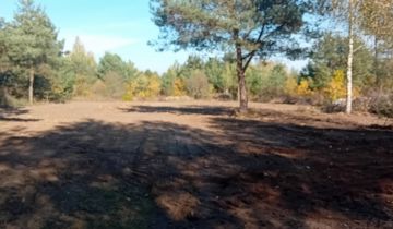 Działka budowlana Słubica Dobra, ul. Graniczna