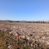 Działka rolna Helenów. Zdjęcie 1