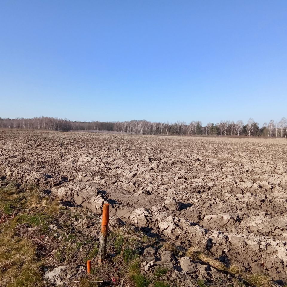 Działka rolna Helenów. Zdjęcie 2