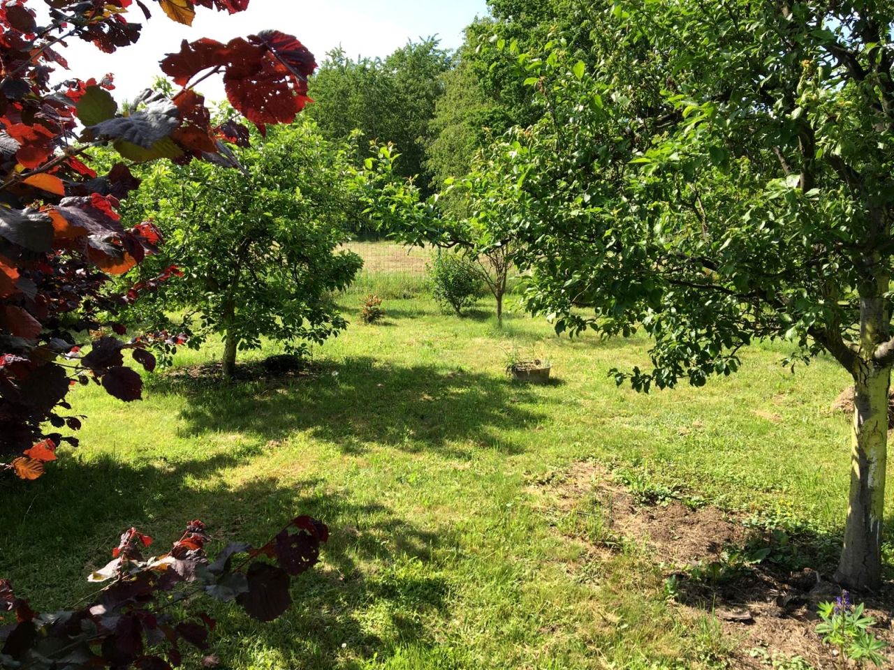 dom wolnostojący, 3 pokoje Jasiów. Zdjęcie 4