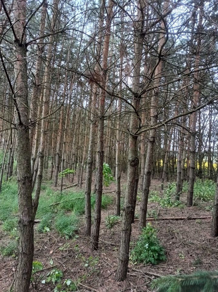 gospodarstwo Ostrów Krupski. Zdjęcie 8