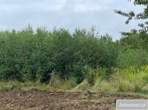 Działka rekreacyjna Bierówka. Zdjęcie 2