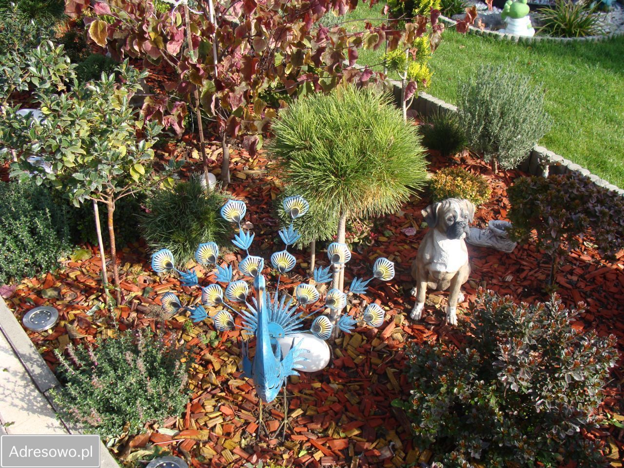 Działka rod Poznań Jeżyce, ul. Bukowska. Zdjęcie 5