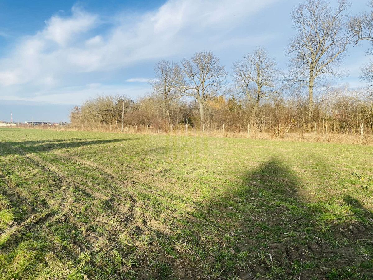 Działka budowlana Dębówka. Zdjęcie 3