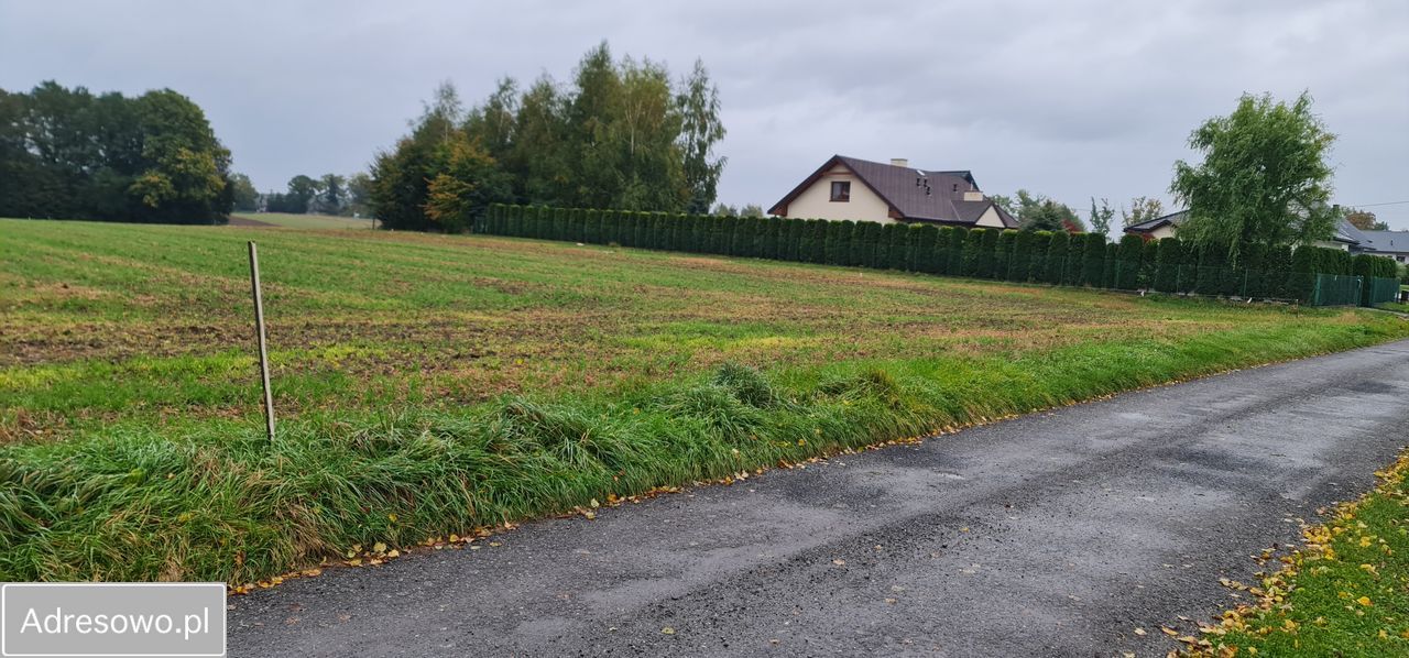 Działka budowlana Dankowice, ul. Do Lipek. Zdjęcie 4