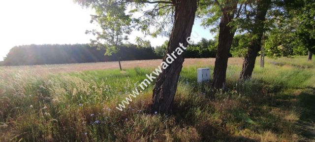 Działka budowlana Chrzczany. Zdjęcie 4