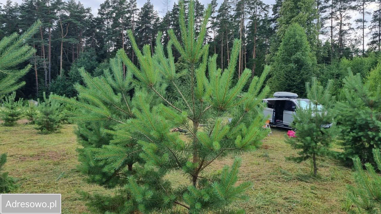 Działka budowlana Serski Las. Zdjęcie 3