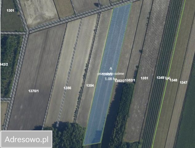 Działka rolna Huszlew. Zdjęcie 1