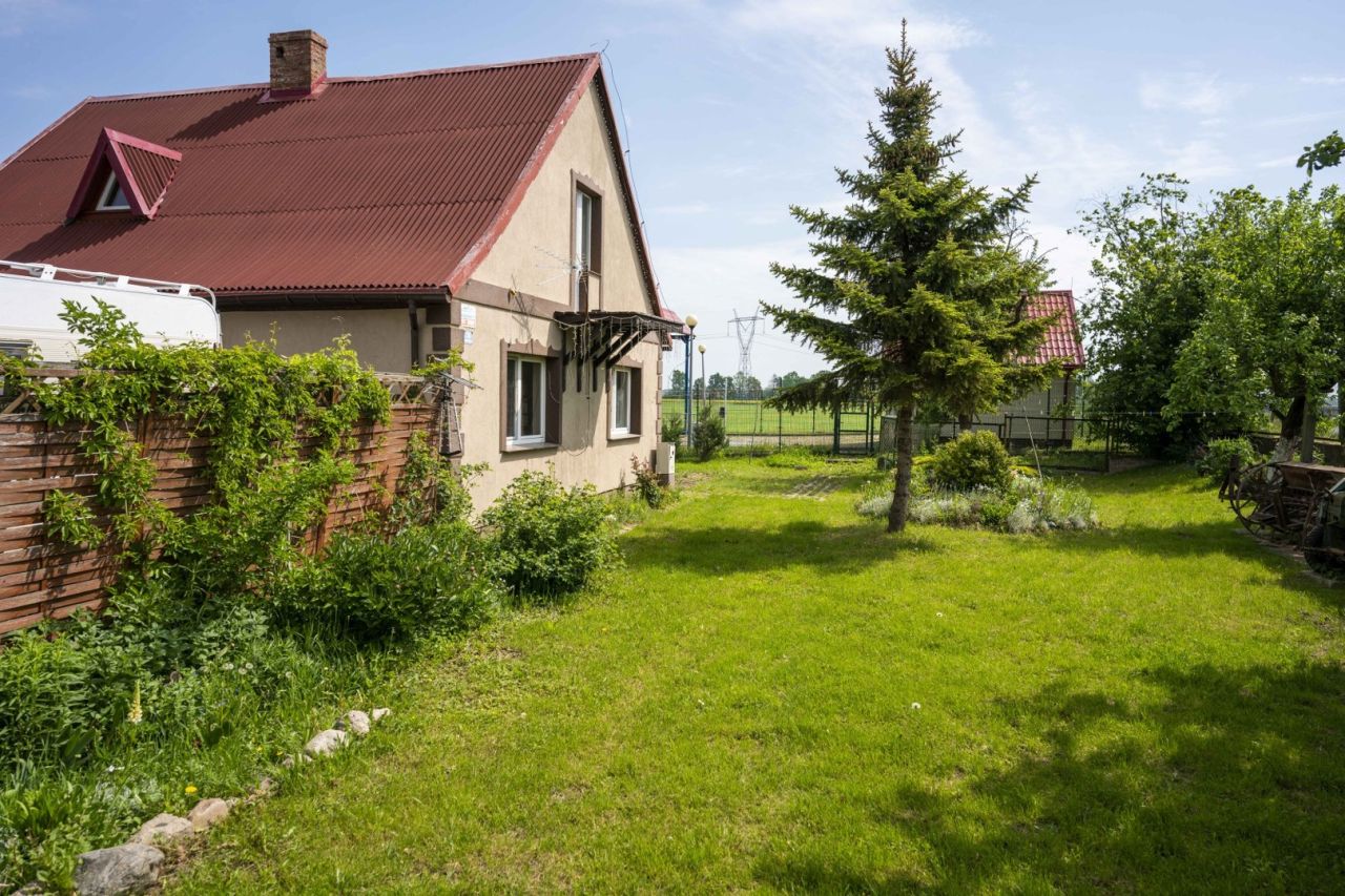 gospodarstwo, 5 pokoi Trzcinisko. Zdjęcie 4