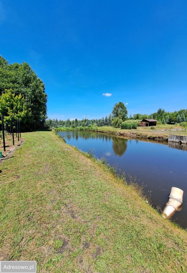 Działka budowlana Wólka Żabna. Zdjęcie 19